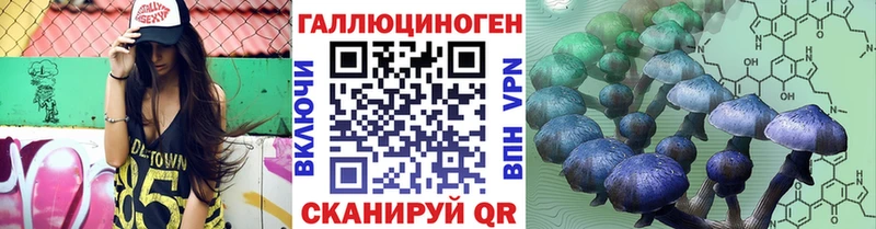 Псилоцибиновые грибы Psilocybe  Одинцово 